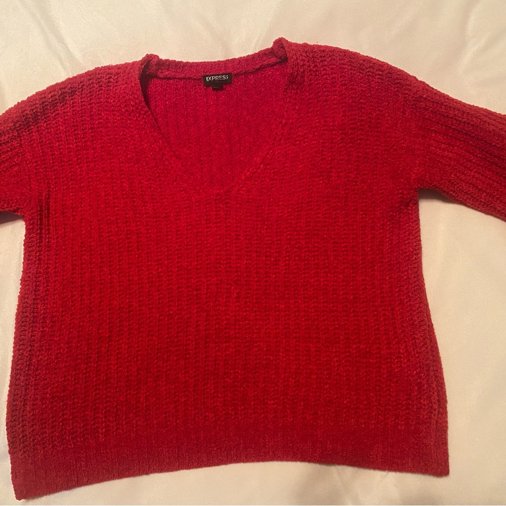Express Knit V neck sweater